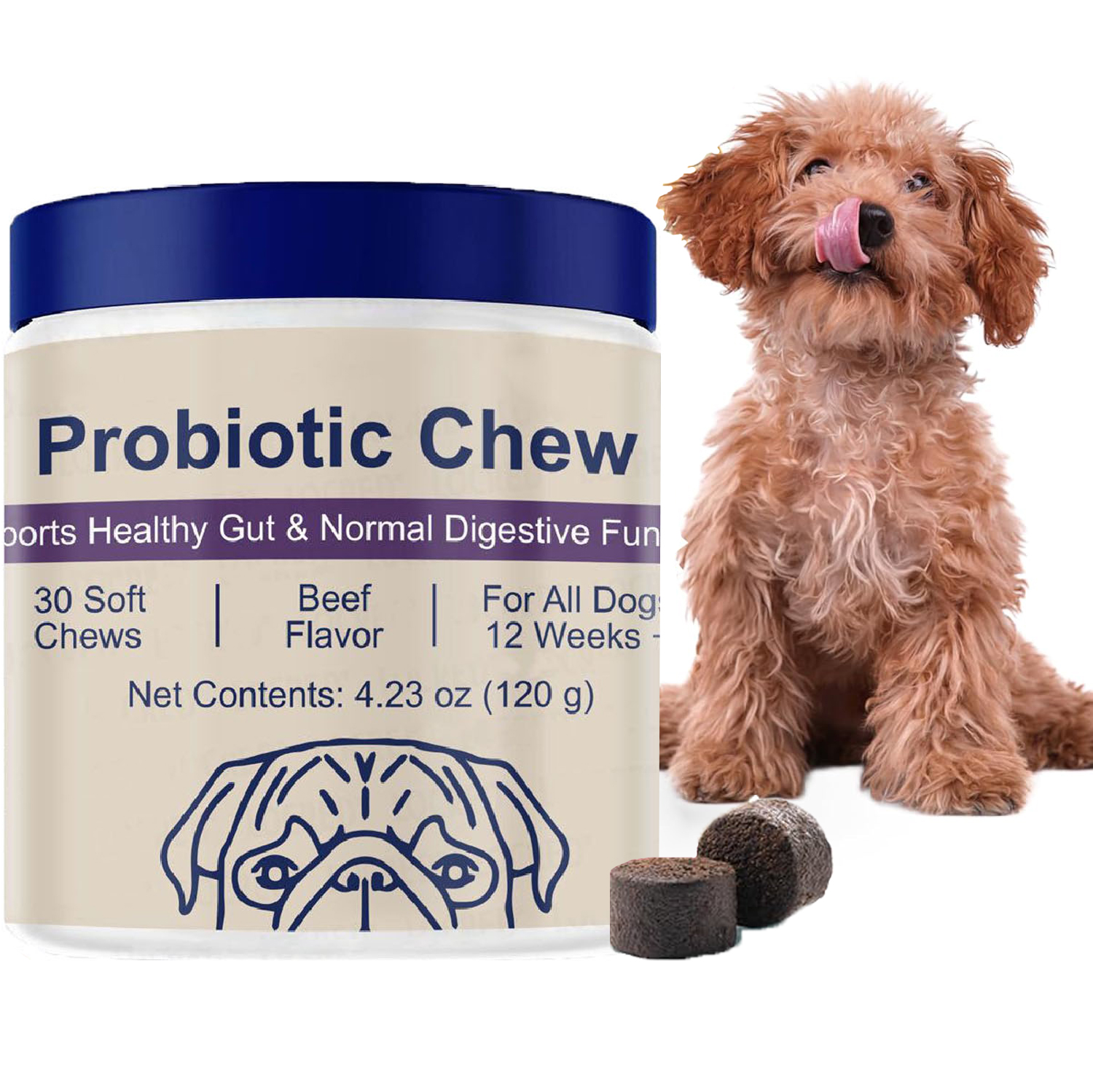 Probiotics for Dog, Digestive  - Digestive Enzyme Blend ulasan dan harga