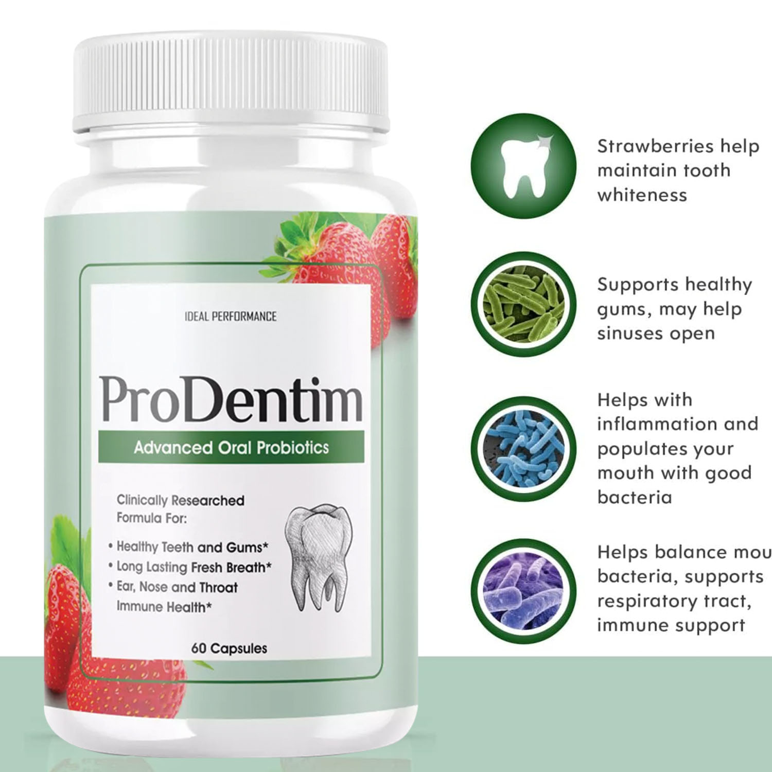 Advanced Oral Probiotics - Fre - Digestive Enzyme Blend ulasan dan harga