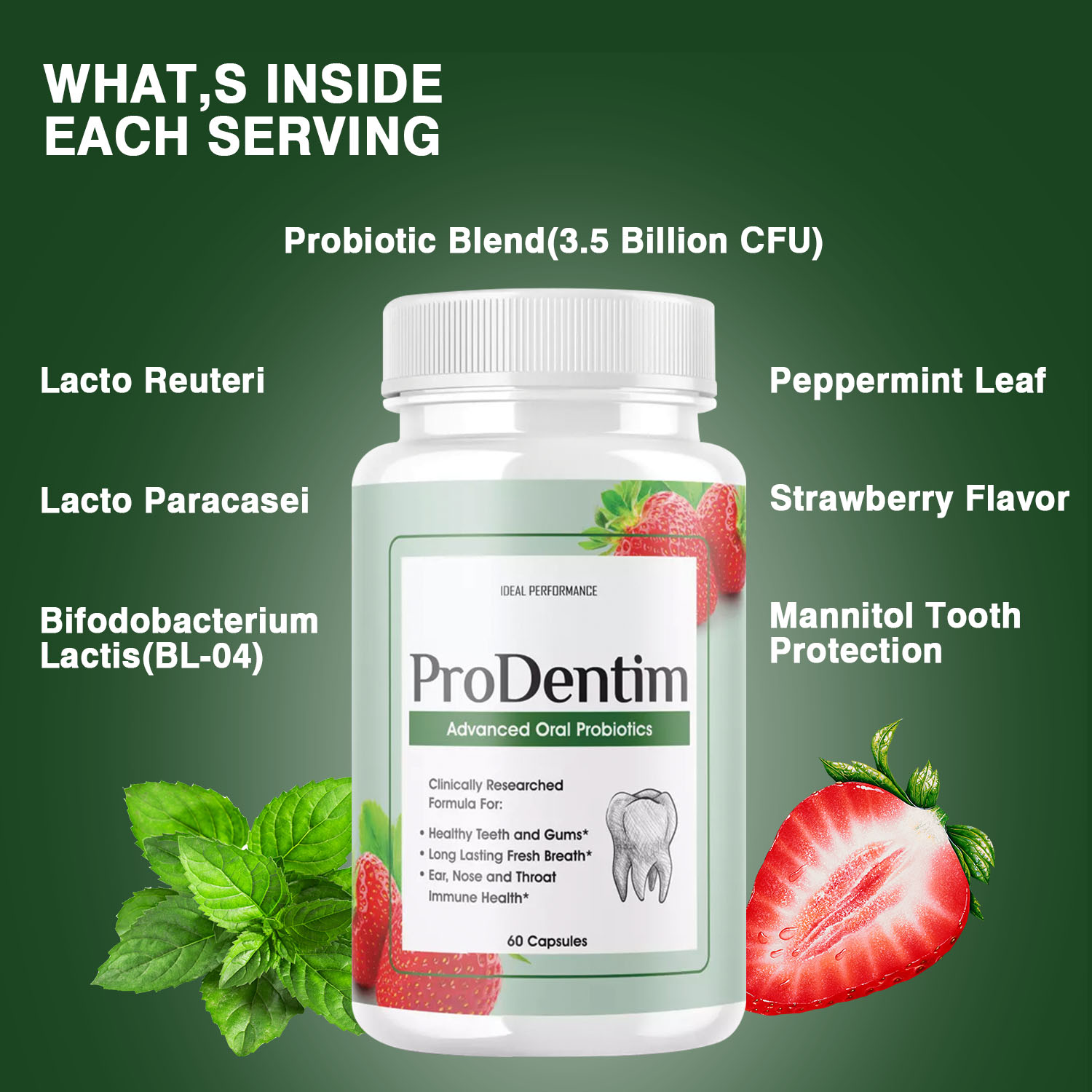 Advanced Oral Probiotics - Pro - Digestive Enzyme Blend ulasan dan harga