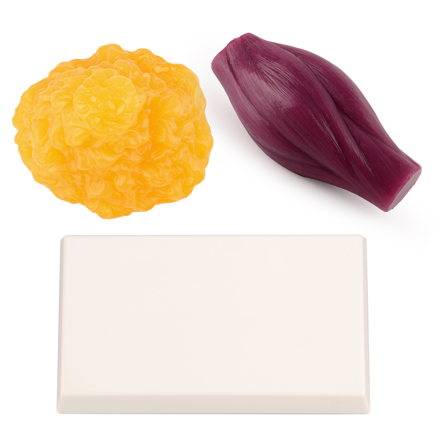1lb Fat Replica & Muscle to Ke - Nutrition In Fitness ulasan dan harga