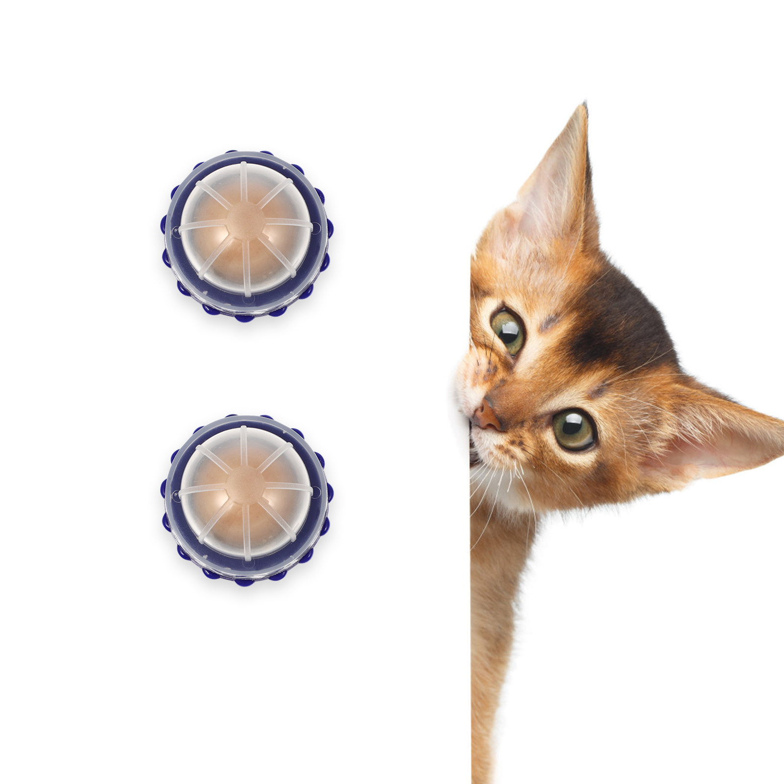 4Pcs Catnip Healthy Lickable C - Nutrition And Exercise ulasan dan harga