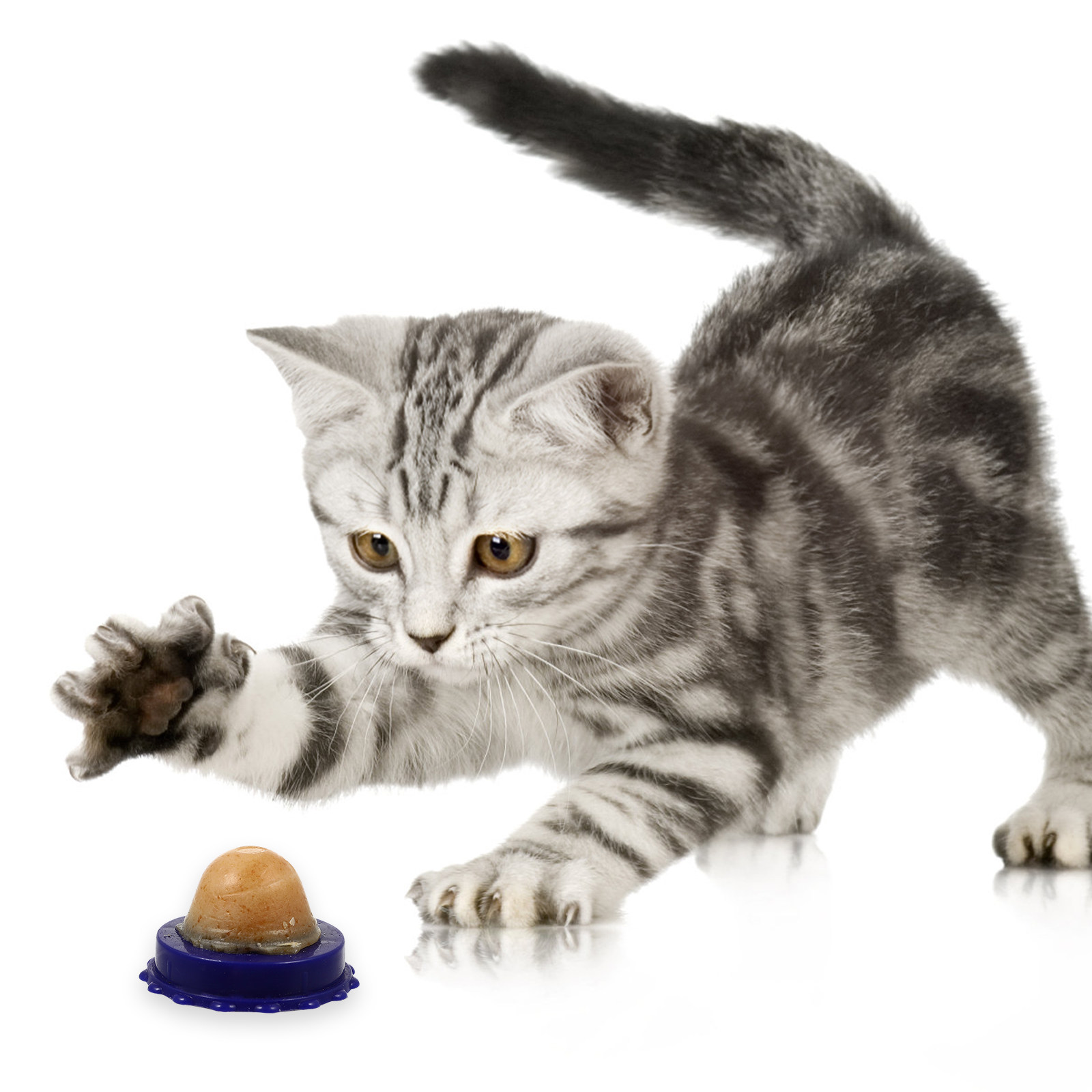 4Pcs Catnip Healthy Lickable C - Nutrition And Exercise ulasan dan harga
