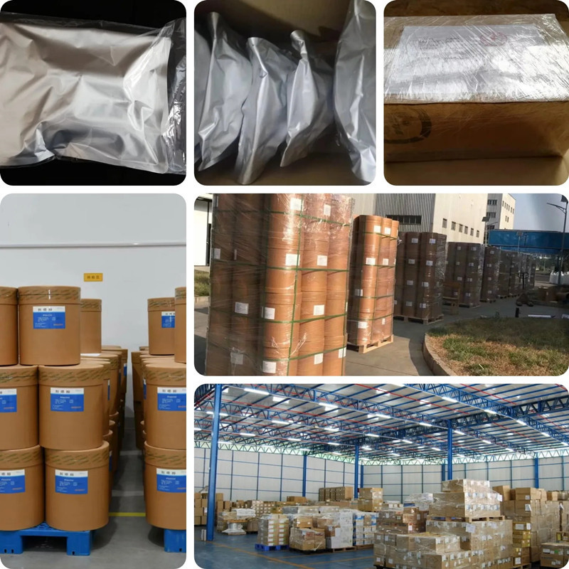 5-layer sealed packaging OEM w - Nutrition Sports Fitness ulasan dan harga