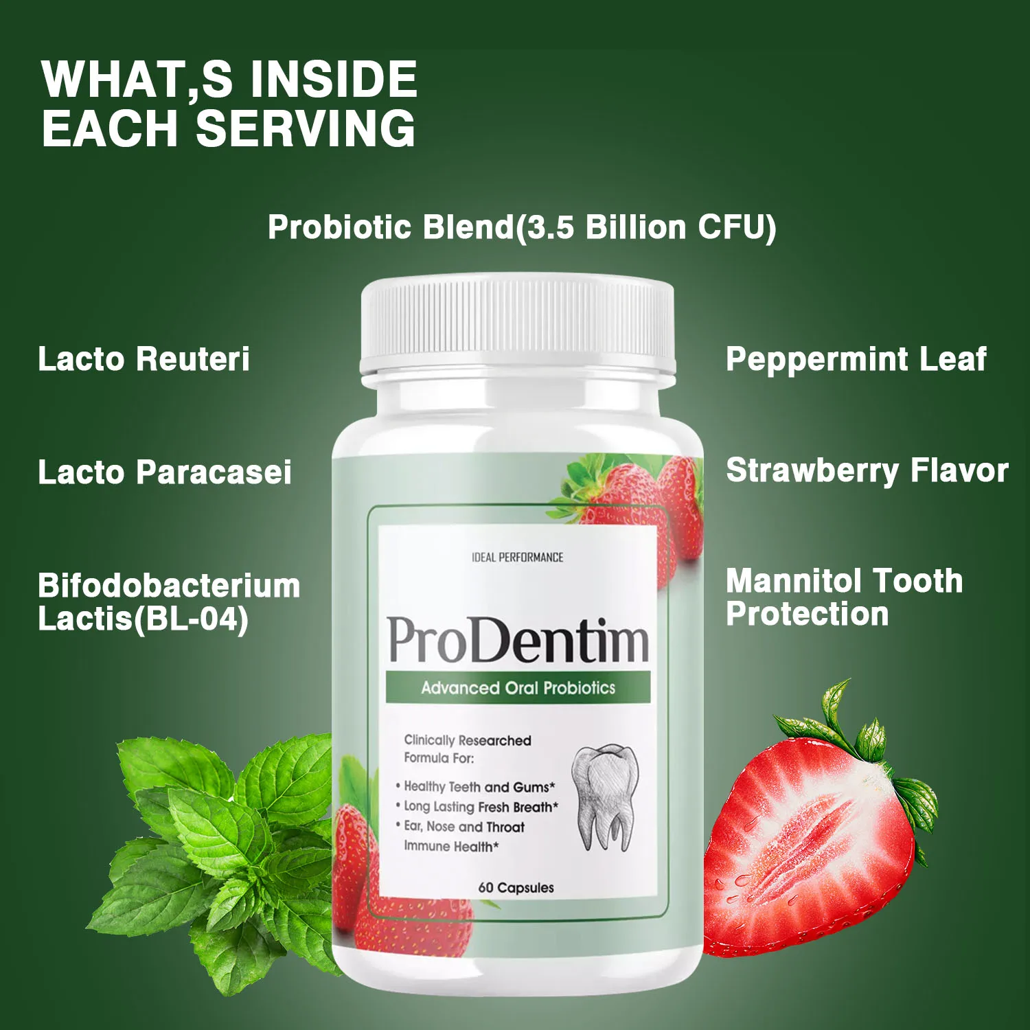 Advanced Oral Probiotics - Fre - Digestive Enzyme Blend ulasan dan harga